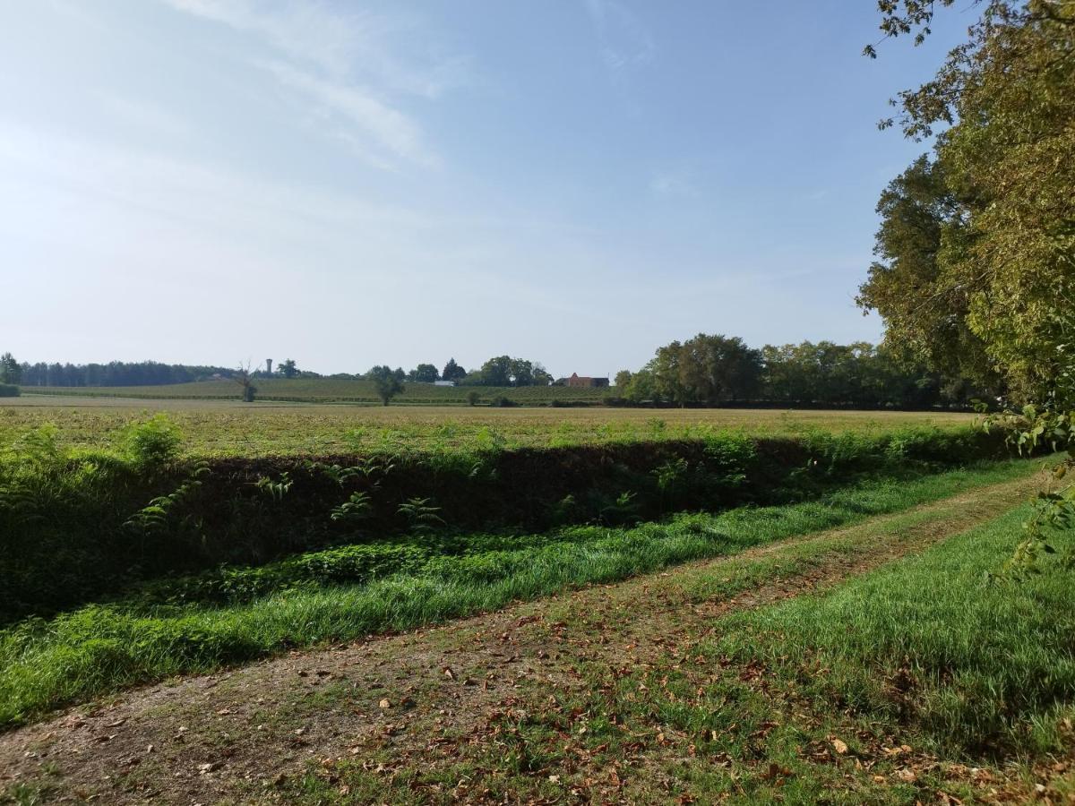 La Cordonnerie De Las Places Campagne-d'Armagnac Kültér fotó